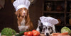 Dogs with chef hats on and food in front of them