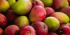 Red mangoes