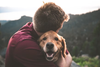 Senior Dog Health: Understanding and Managing the Top 12 Age-related Issues