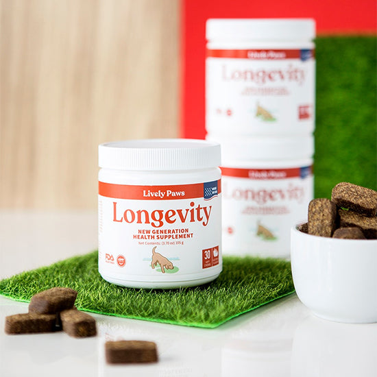 picture of longevity dog supplements on grass matt