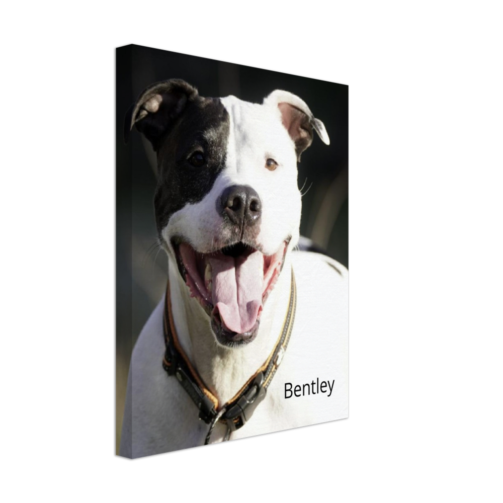 Personalized Dog Canvas
