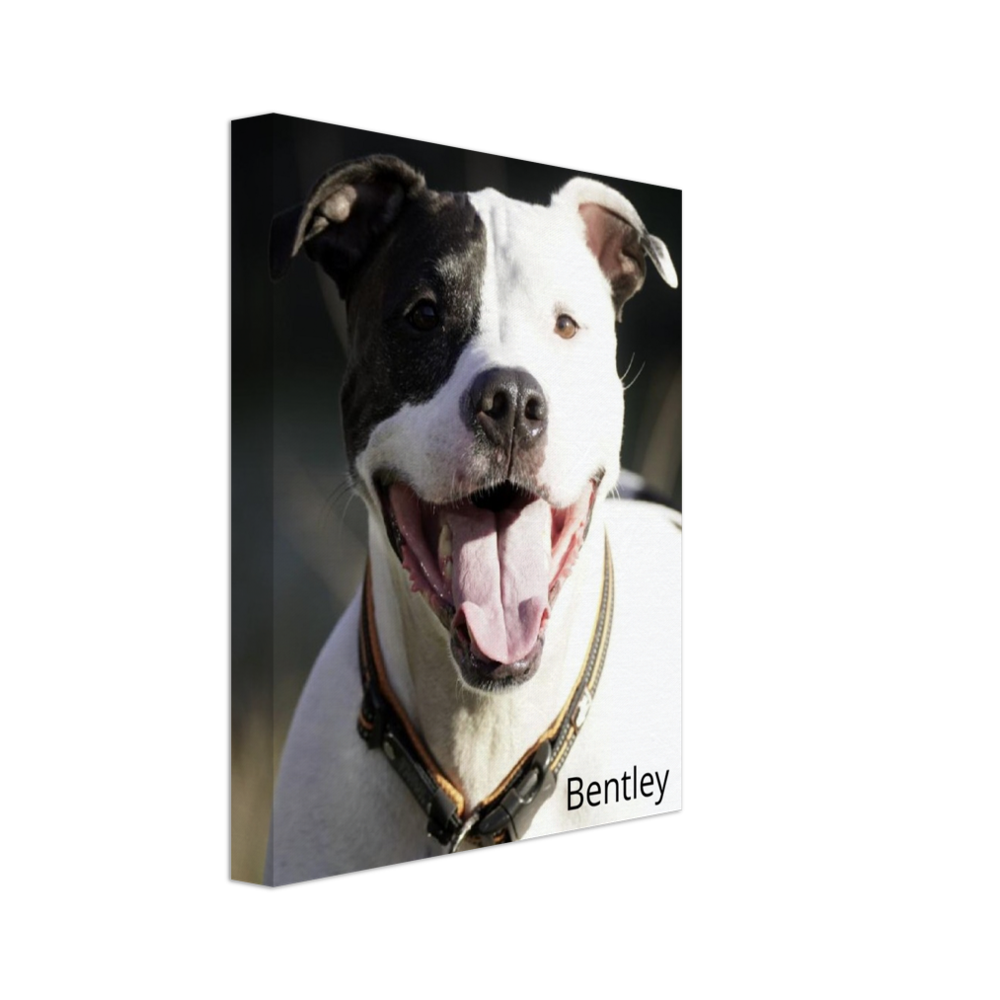 Personalized Dog Canvas